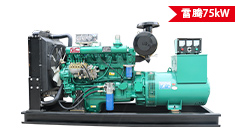雷腾75kw柴油发电机组