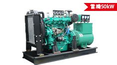 雷腾50kw柴油发电机组